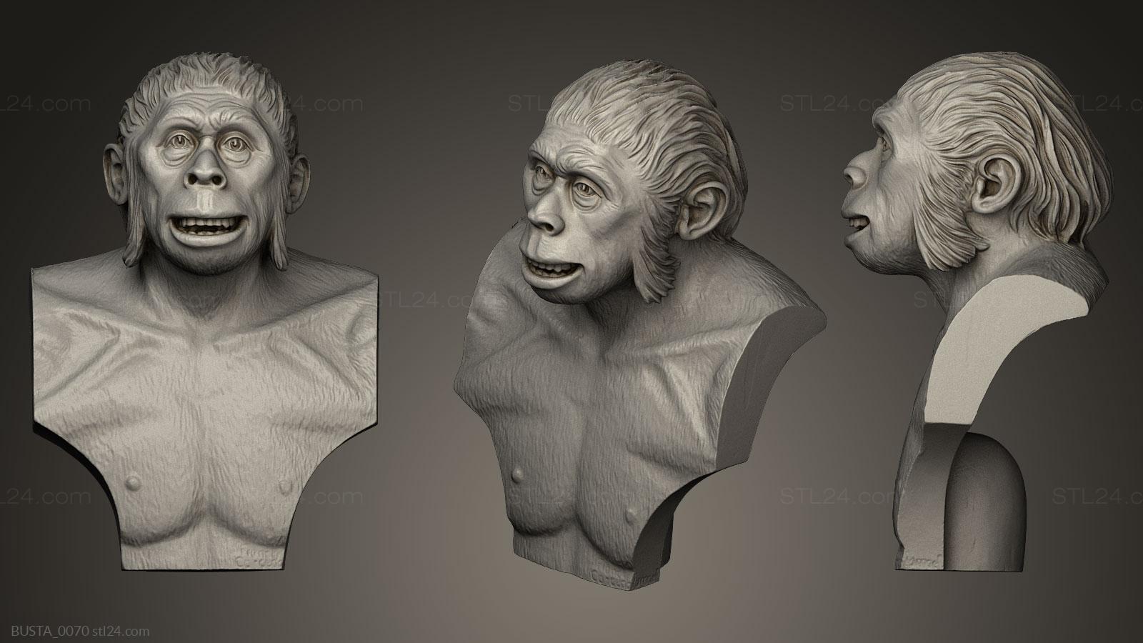 Бюсты и головы античные и исторические (Человек прямоходящий, BUSTA_0070) 3D модель для ЧПУ станка